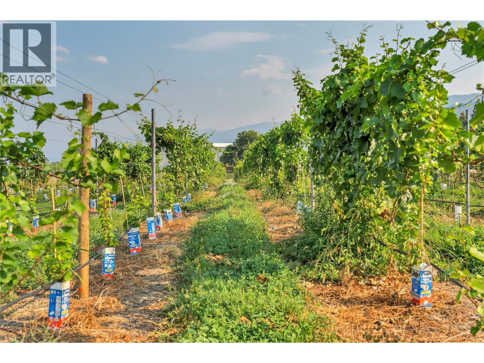 1275 Munson Avenue, Penticton, BC - Outdoor