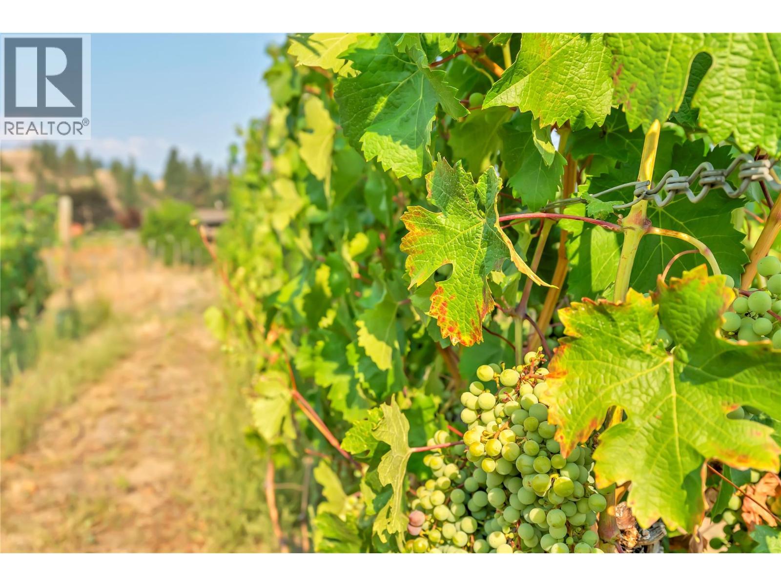 1275 Munson Avenue, Penticton, BC - Outdoor