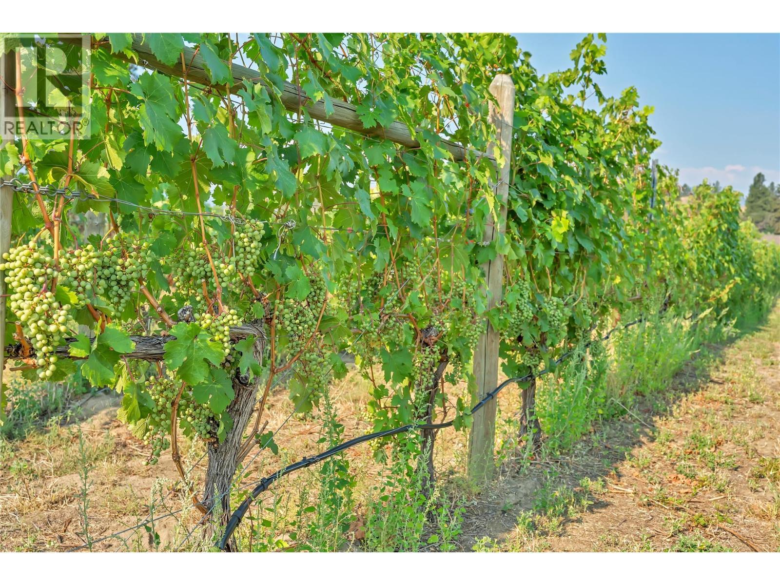 1275 Munson Avenue, Penticton, BC - Outdoor