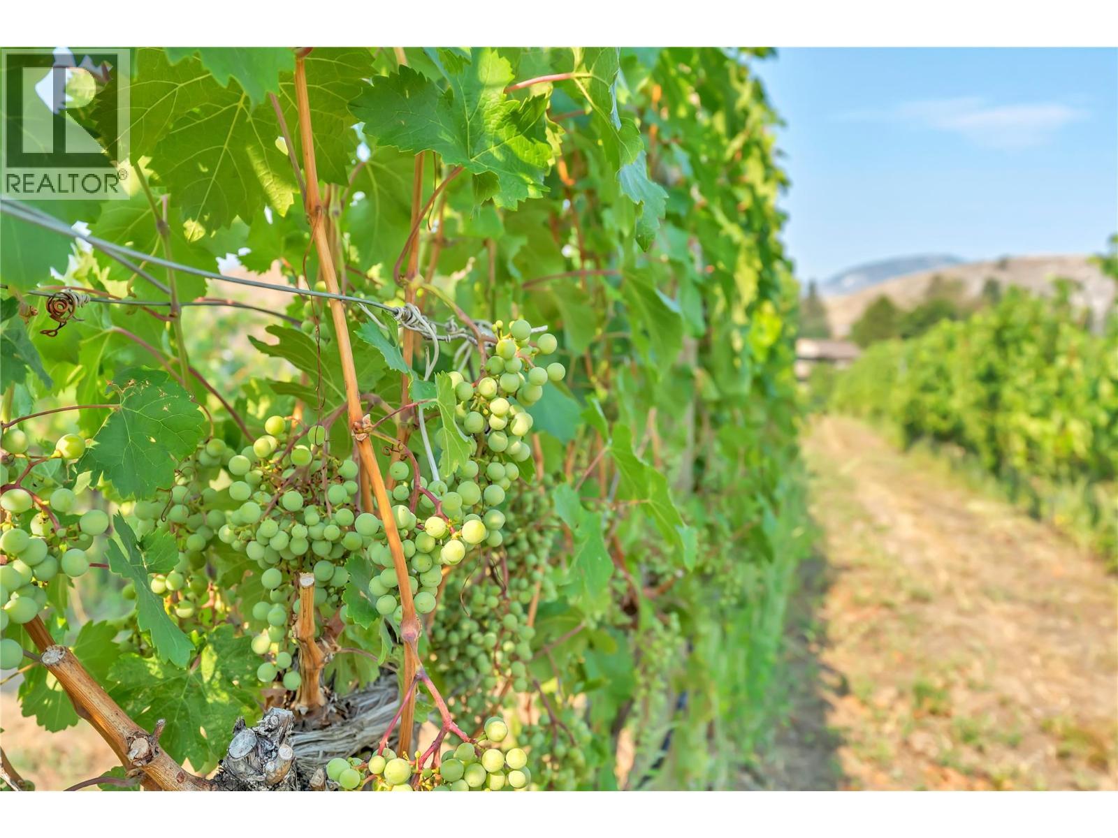 1275 Munson Avenue, Penticton, BC - Outdoor