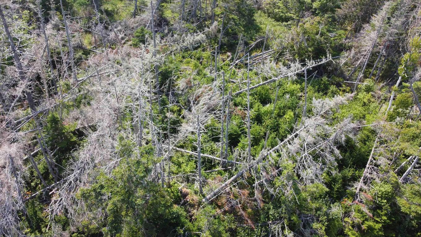 Lot 0 Wolfe Street, Louisbourg, NS