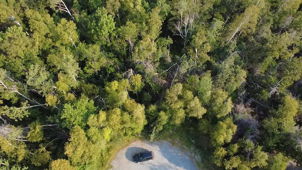 Lot 213 Macdonald Drive, Chance Harbour, NS