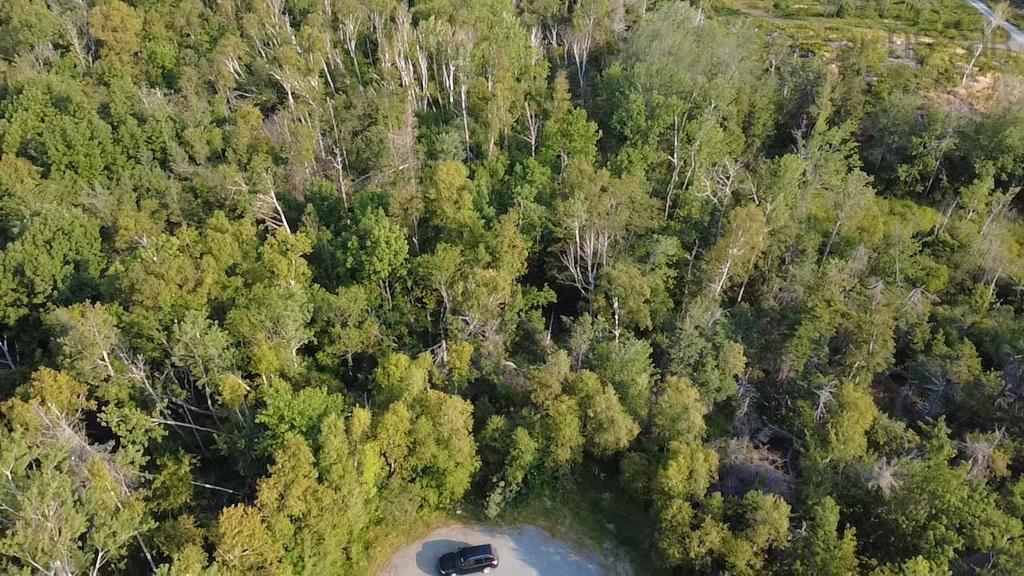 Lot 213 Macdonald Drive, Chance Harbour, NS