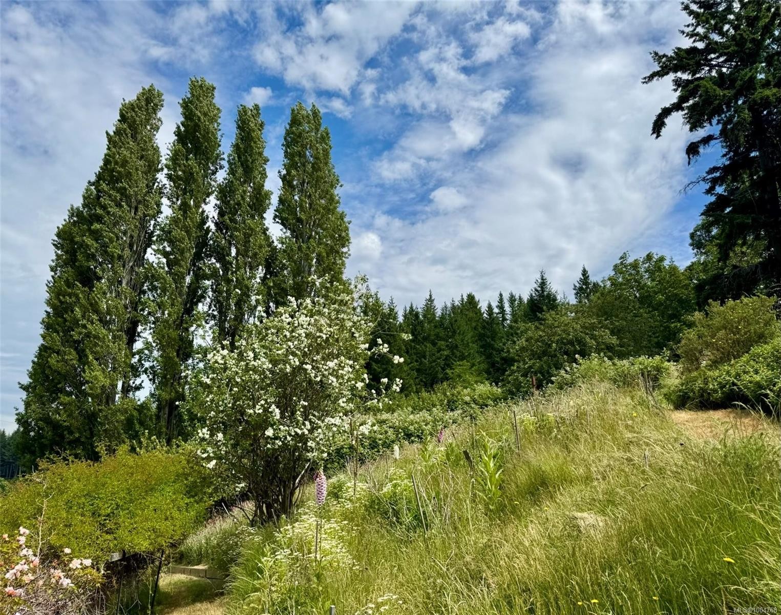 482 Smelt Bay Rd, Cortes Island, BC