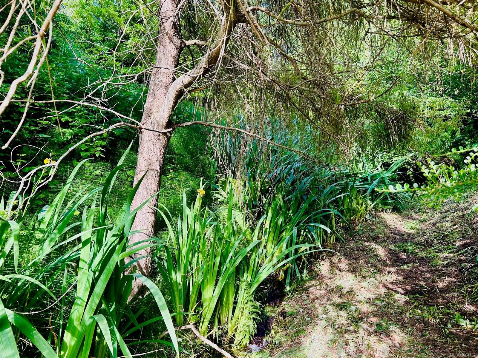 482 Smelt Bay Rd, Cortes Island, BC