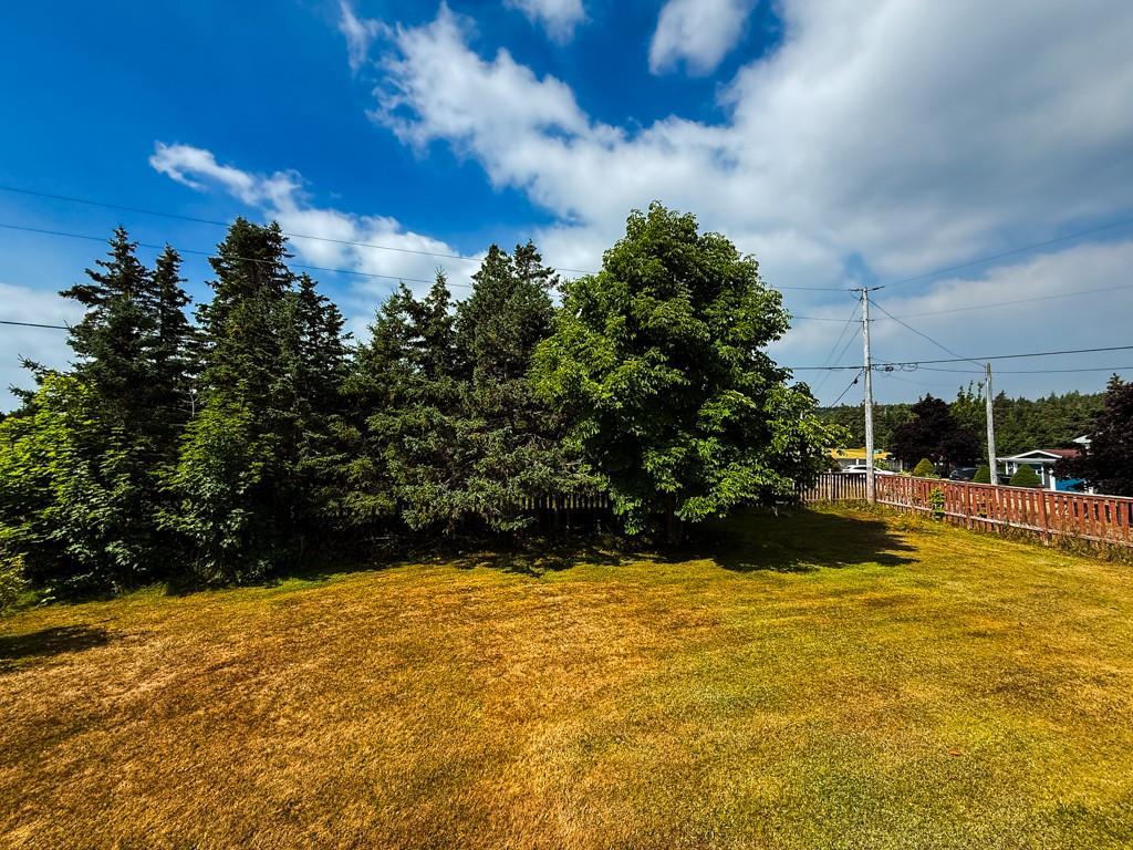 31 Woodville Crescent, Harbour Grace, NL