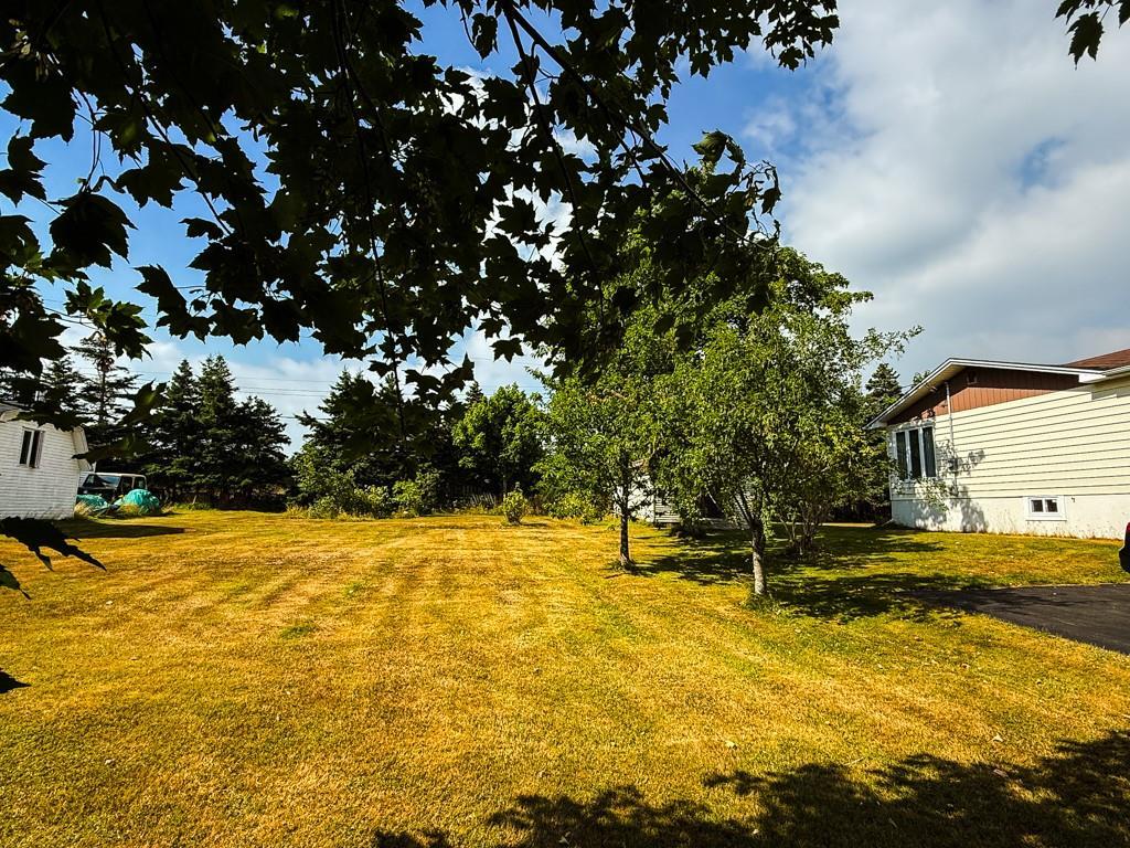 31 Woodville Crescent, Harbour Grace, NL