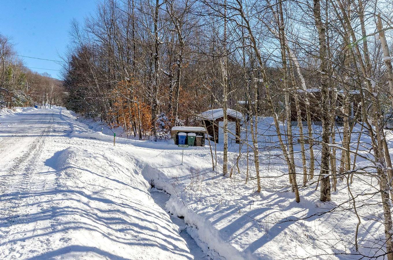 Land/Lot - 265 - 267 Ch. Seigneurial, Sutton, QC - Outdoor With View