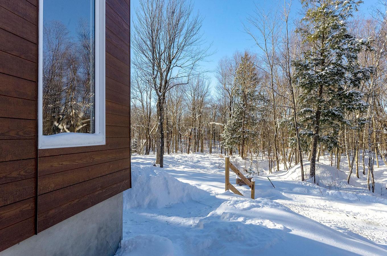 Land/Lot - 265 - 267 Ch. Seigneurial, Sutton, QC - Outdoor