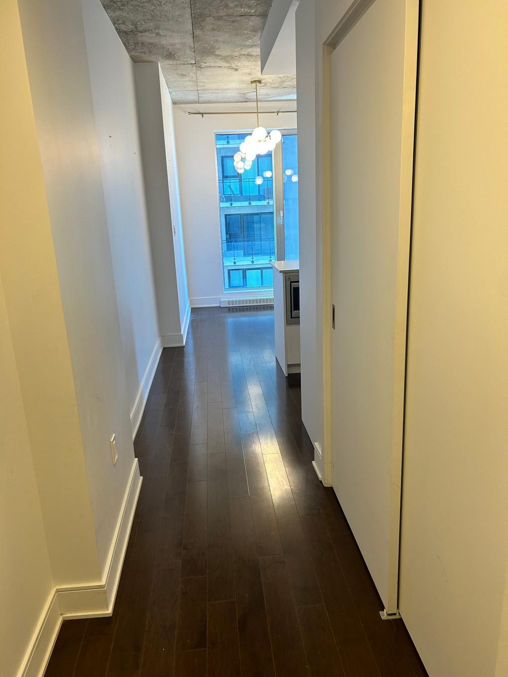 Passageway - 1905-2320 Rue Tupper, Montréal (Ville-Marie), QC - Indoor Photo Showing Other Room