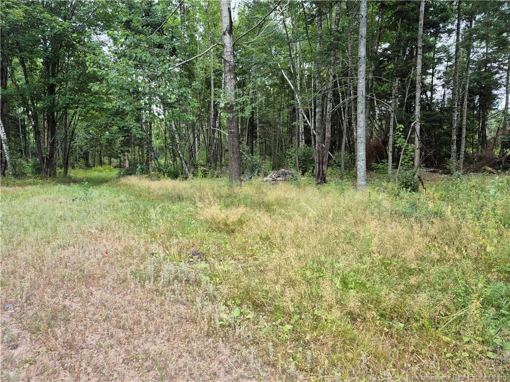 3901 Rte 101, Tracyville, NB