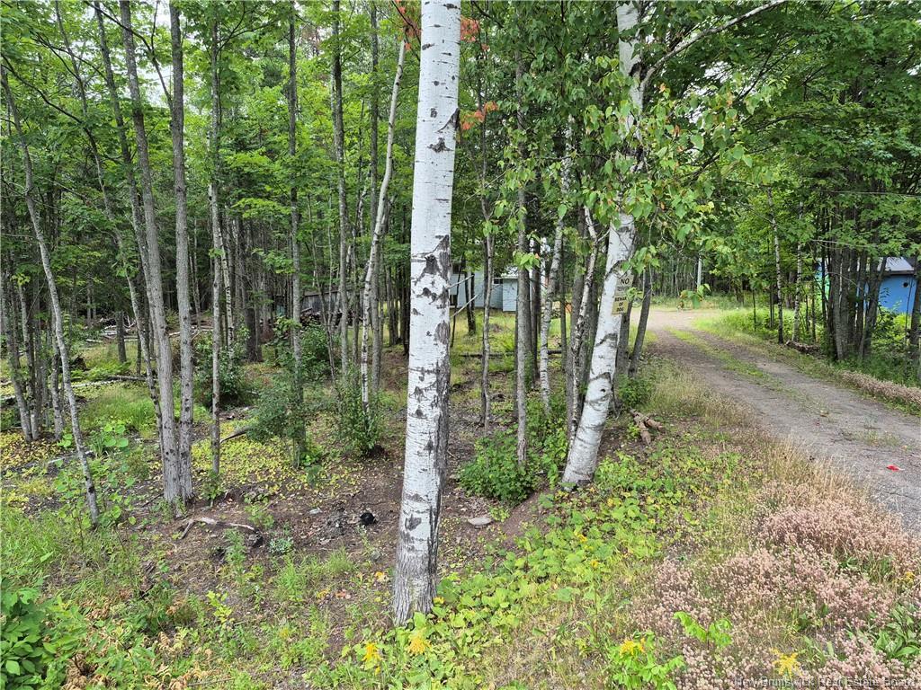 3901 Rte 101, Tracyville, NB