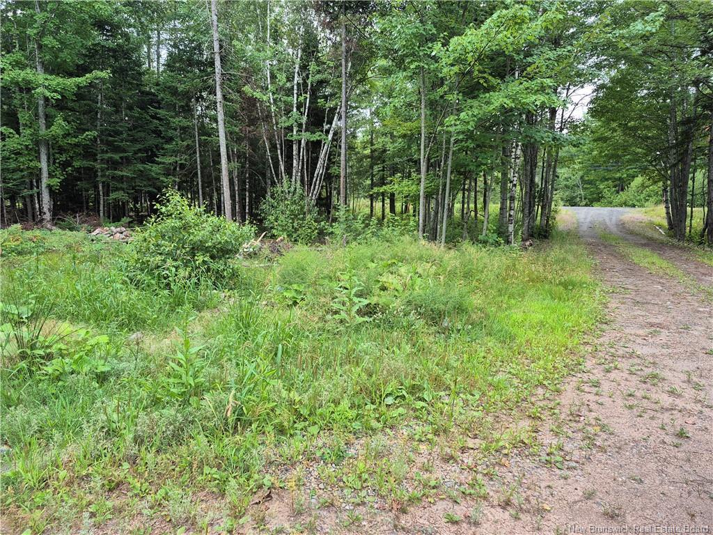 3901 Rte 101, Tracyville, NB