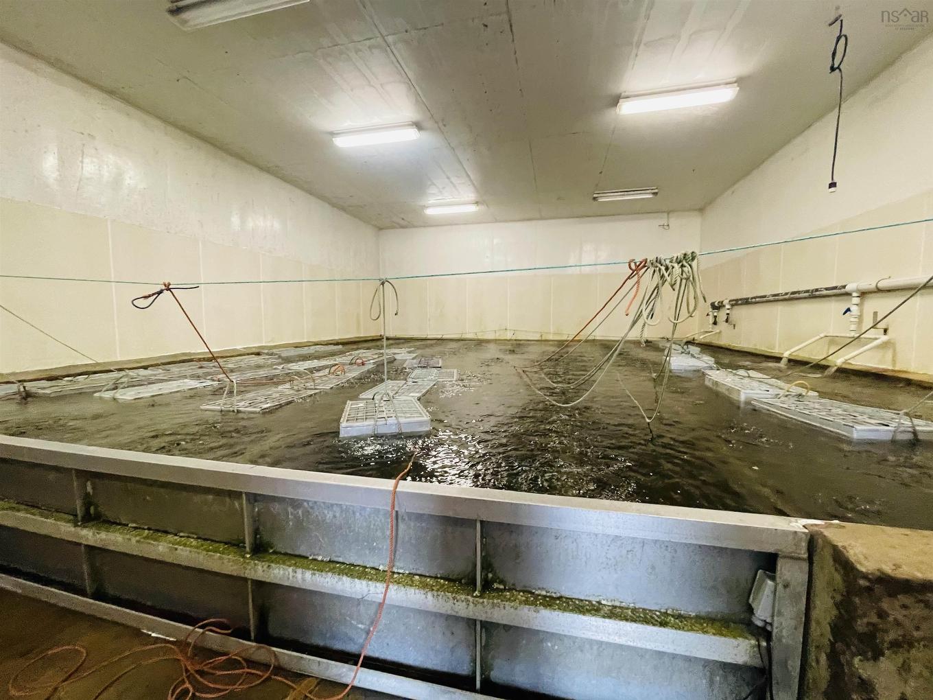 81-89 Daniels Head Road, South Side, NS