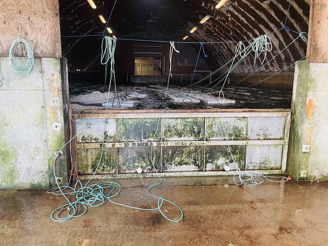 81-89 Daniels Head Road, South Side, NS