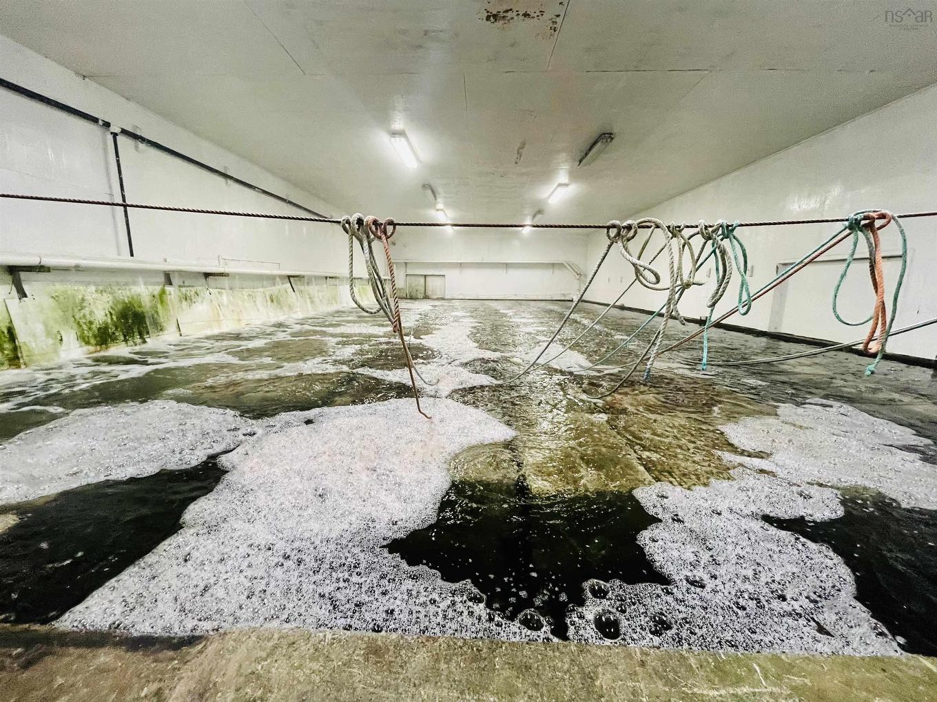 81-89 Daniels Head Road, South Side, NS