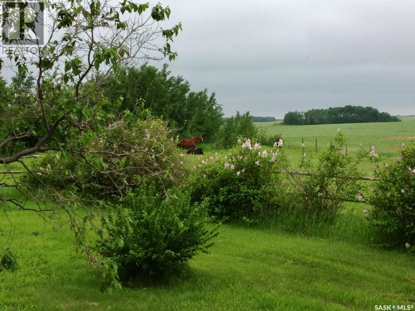 Mackenzie Dyck Acreage, Laird Rm No. 404, SK - Outdoor With View