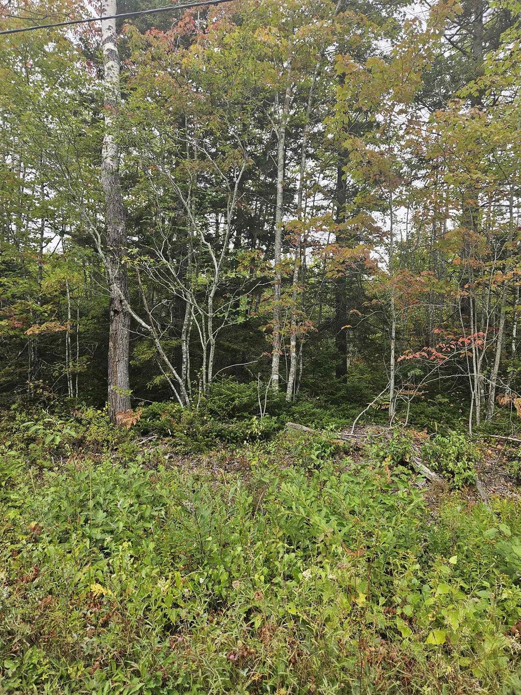 211 Bennie Muckle Road Bramber, Bramber, NS