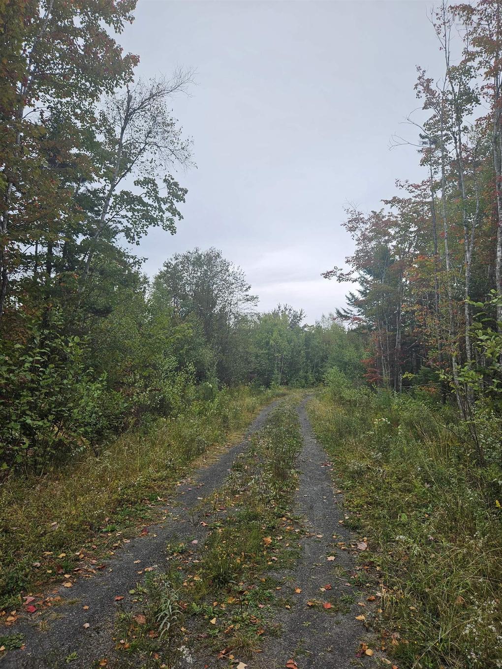 211 Bennie Muckle Road Bramber, Bramber, NS