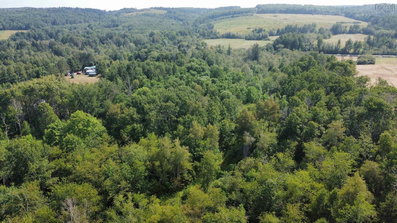 Ripley #4 Road, Williamsdale, NS