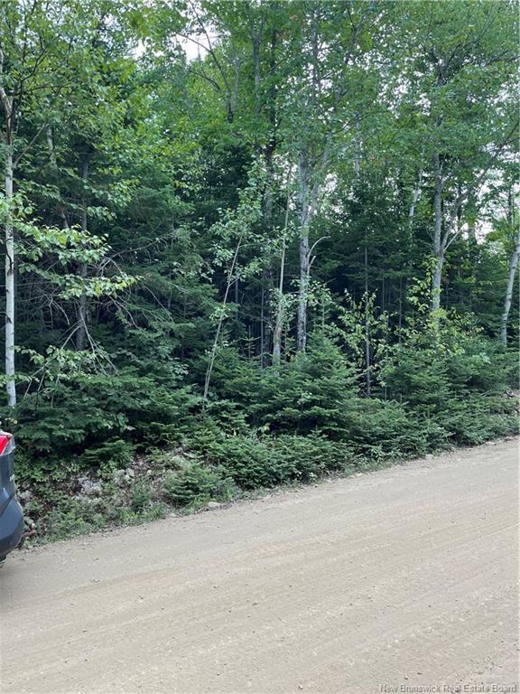 00 Val Doucet Little Lake, Val-Doucet, NB