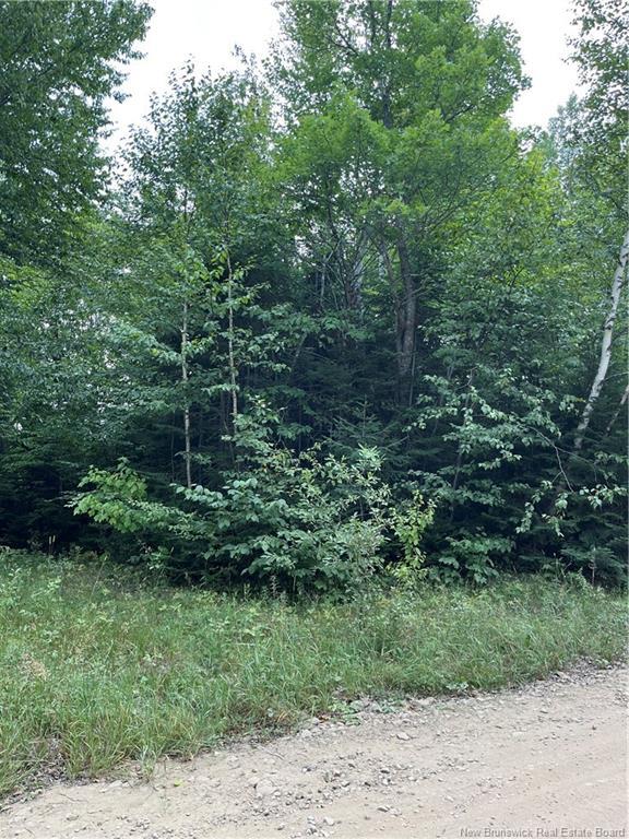 00 Val Doucet Little Lake, Val-Doucet, NB