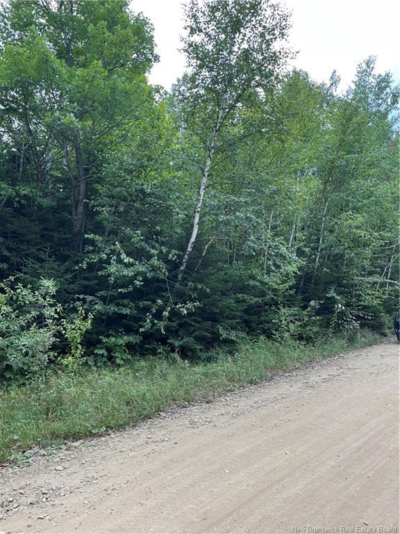 00 Val Doucet Little Lake, Val-Doucet, NB