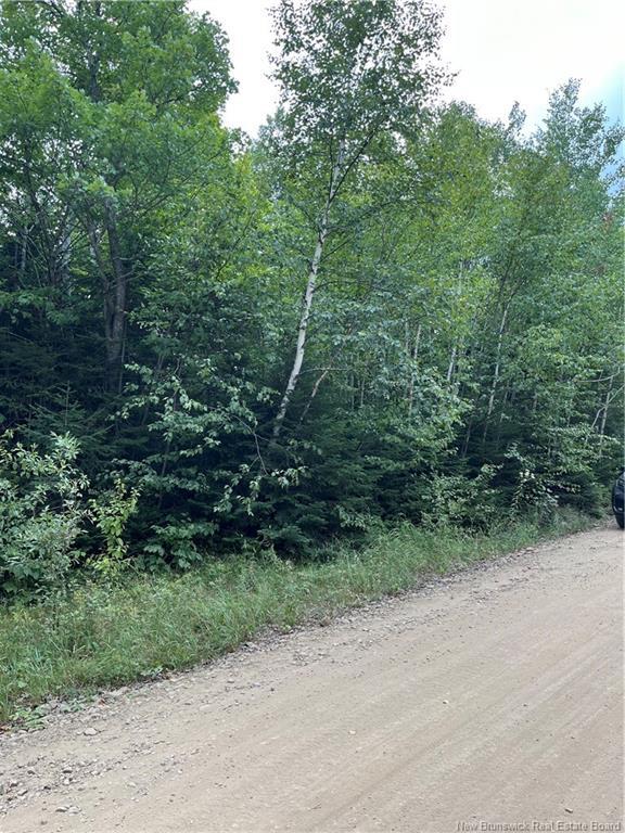 00 Val Doucet Little Lake, Val-Doucet, NB