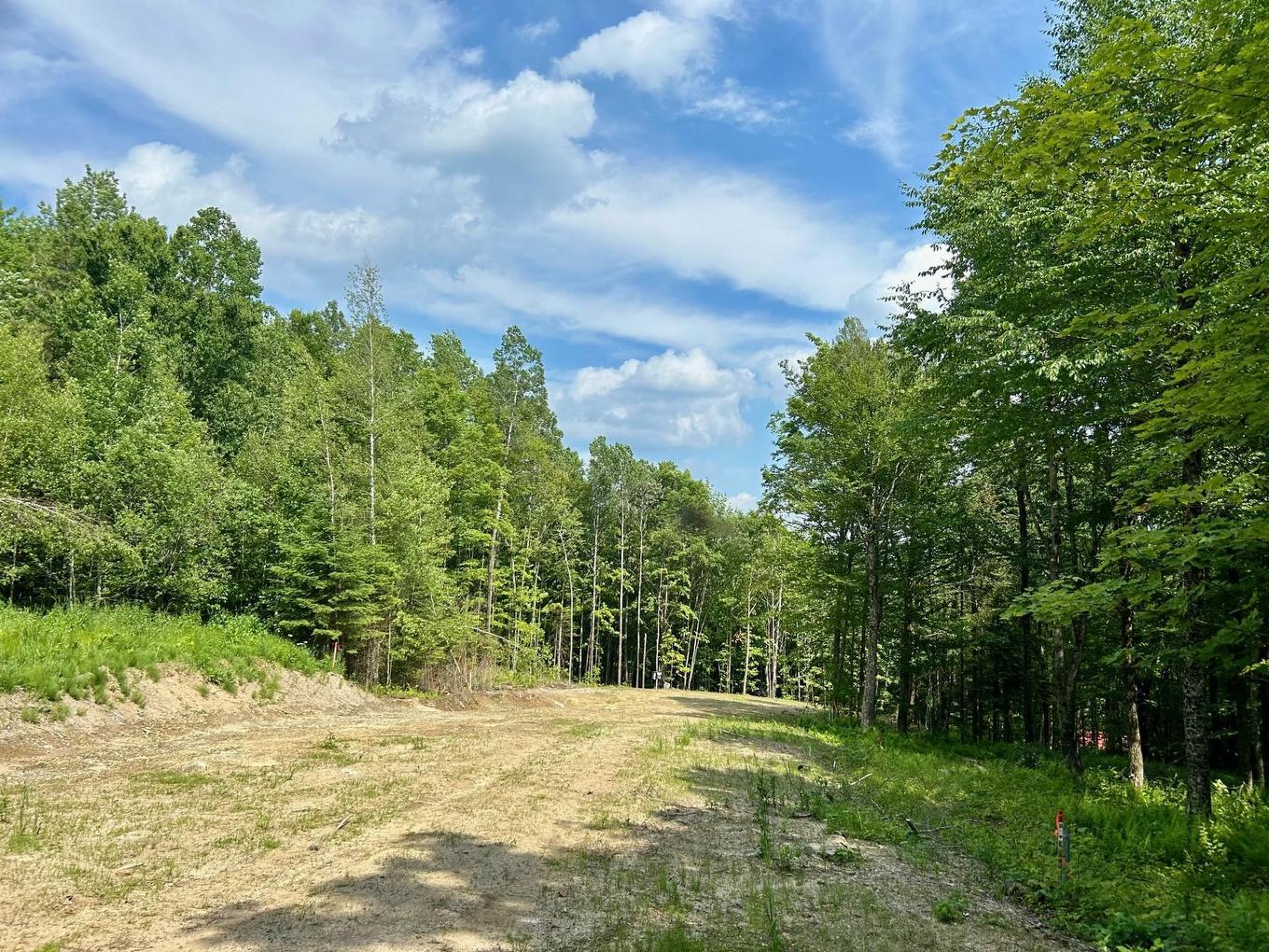 Land/Lot - 160 Ch. Du Sous-Bois, Inverness, QC