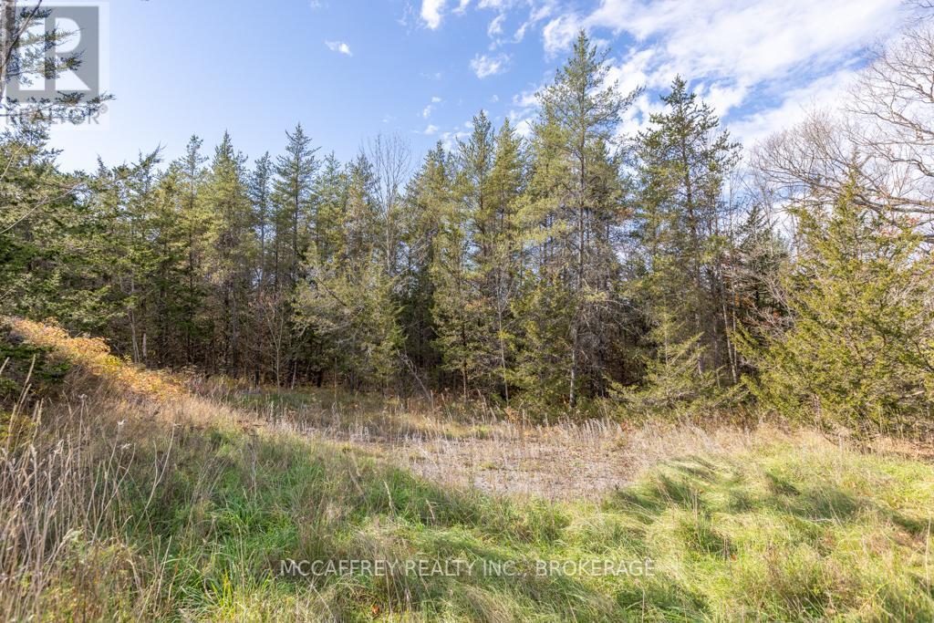 Pt 12 Meach Road, Greater Napanee (Greater Napanee), ON