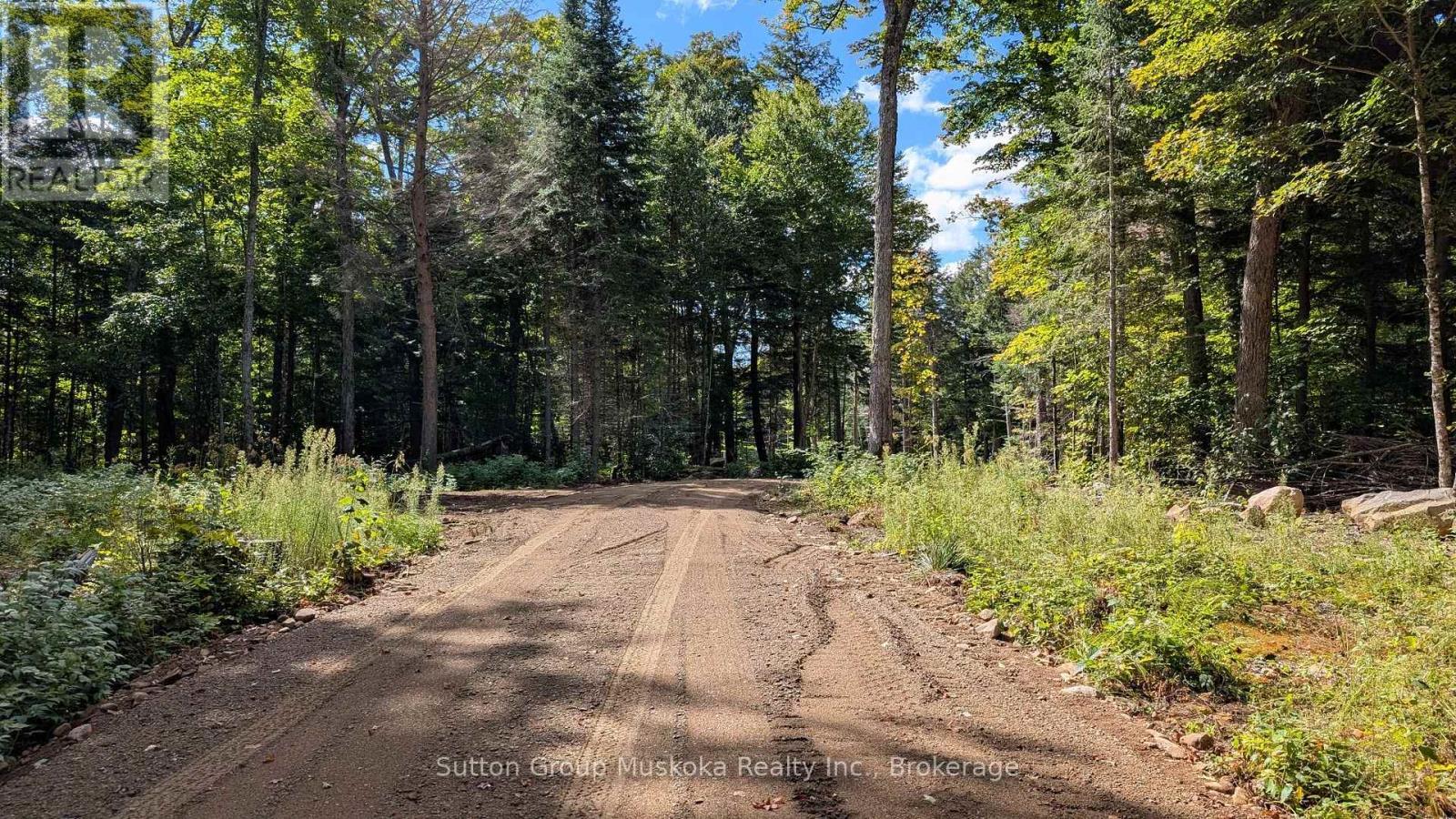 Driveway - Lot 2 Esig Lane, Lake Of Bays (Sinclair), ON