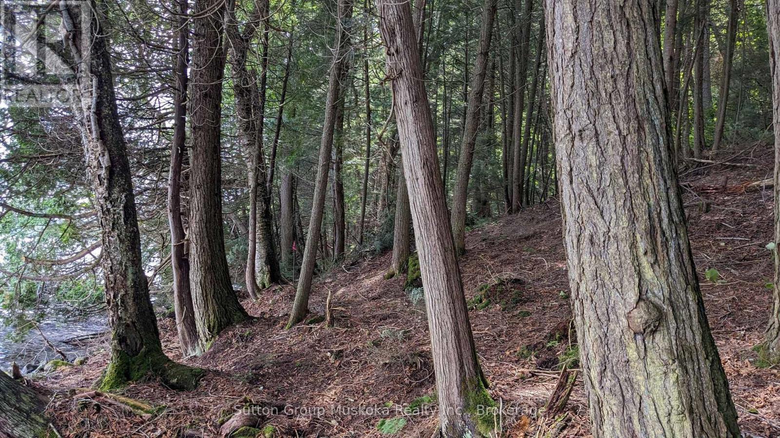 Lot 2 Esig Lane, Lake Of Bays (Sinclair), ON