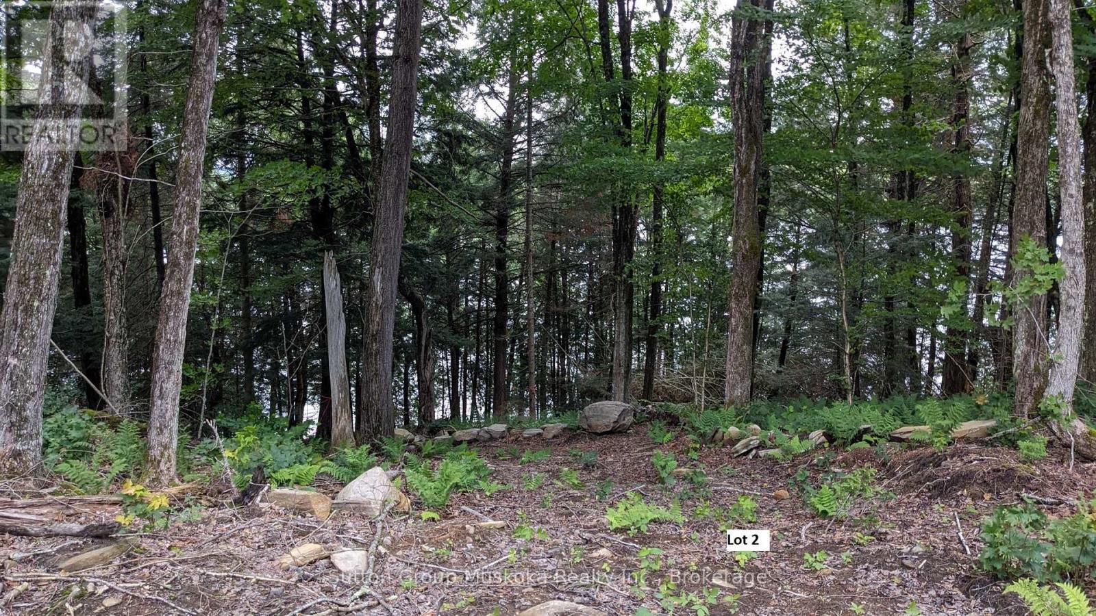 Lot 2 Esig Lane, Lake Of Bays (Sinclair), ON