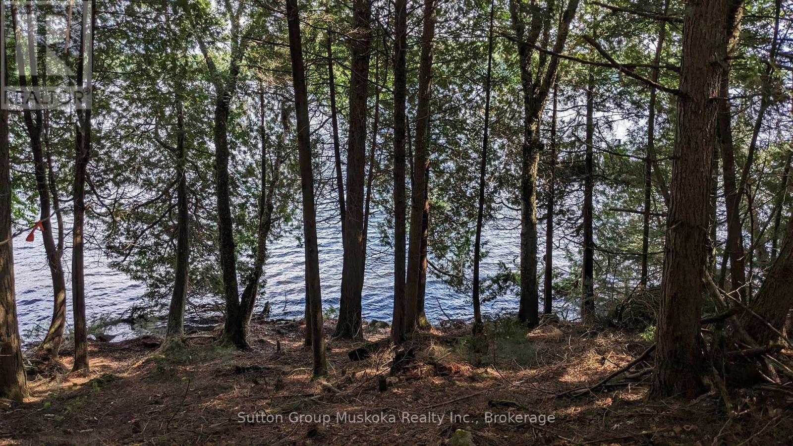 Lot 2 Esig Lane, Lake Of Bays (Sinclair), ON