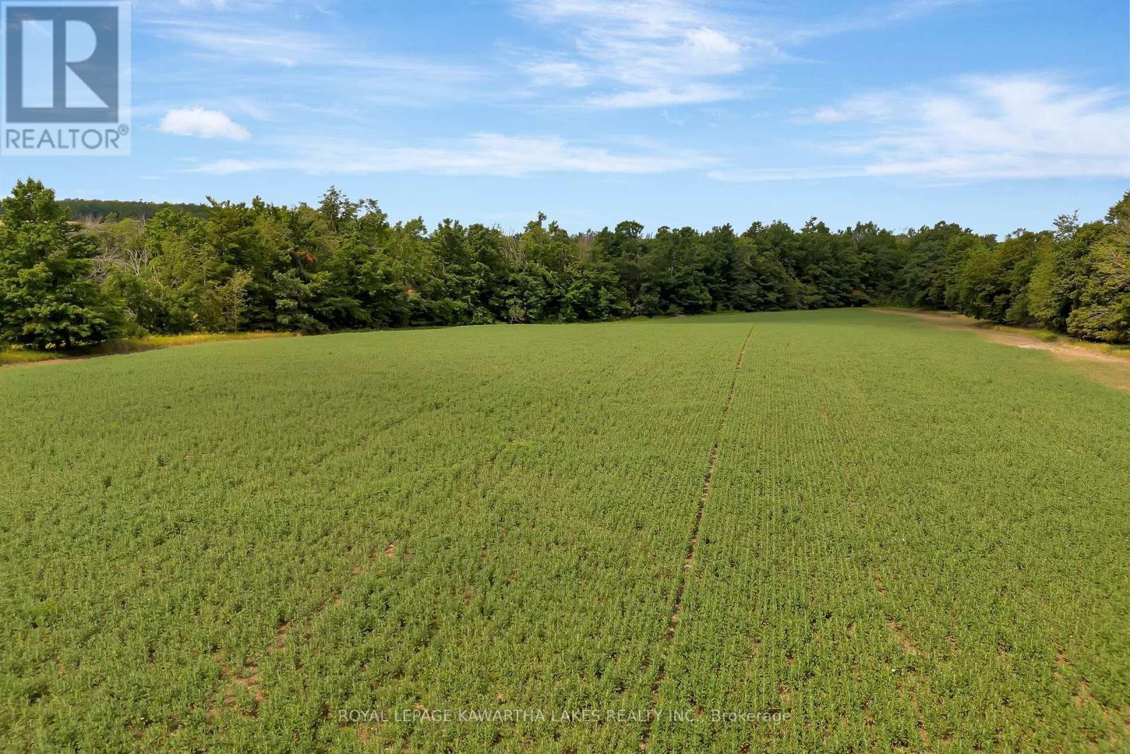 1707 Blezard Line E, Otonabee-South Monaghan, ON