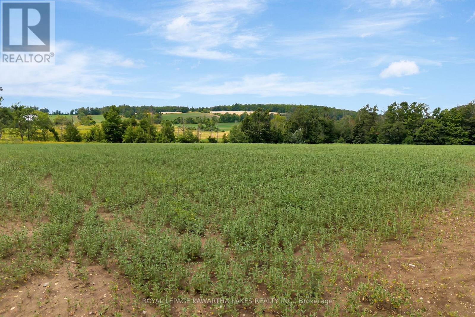 1707 Blezard Line E, Otonabee-South Monaghan, ON