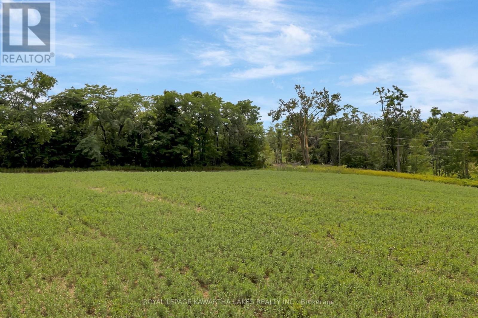 1707 Blezard Line E, Otonabee-South Monaghan, ON