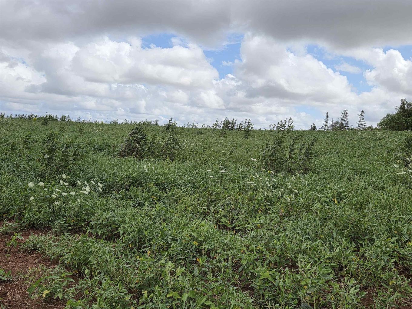 Rte 6 Highway, Stanley Bridge, PE