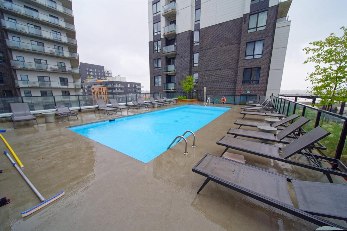Piscine - 922-7227 Boul. Newman, Montréal (Lasalle), QC - Outdoor With In Ground Pool