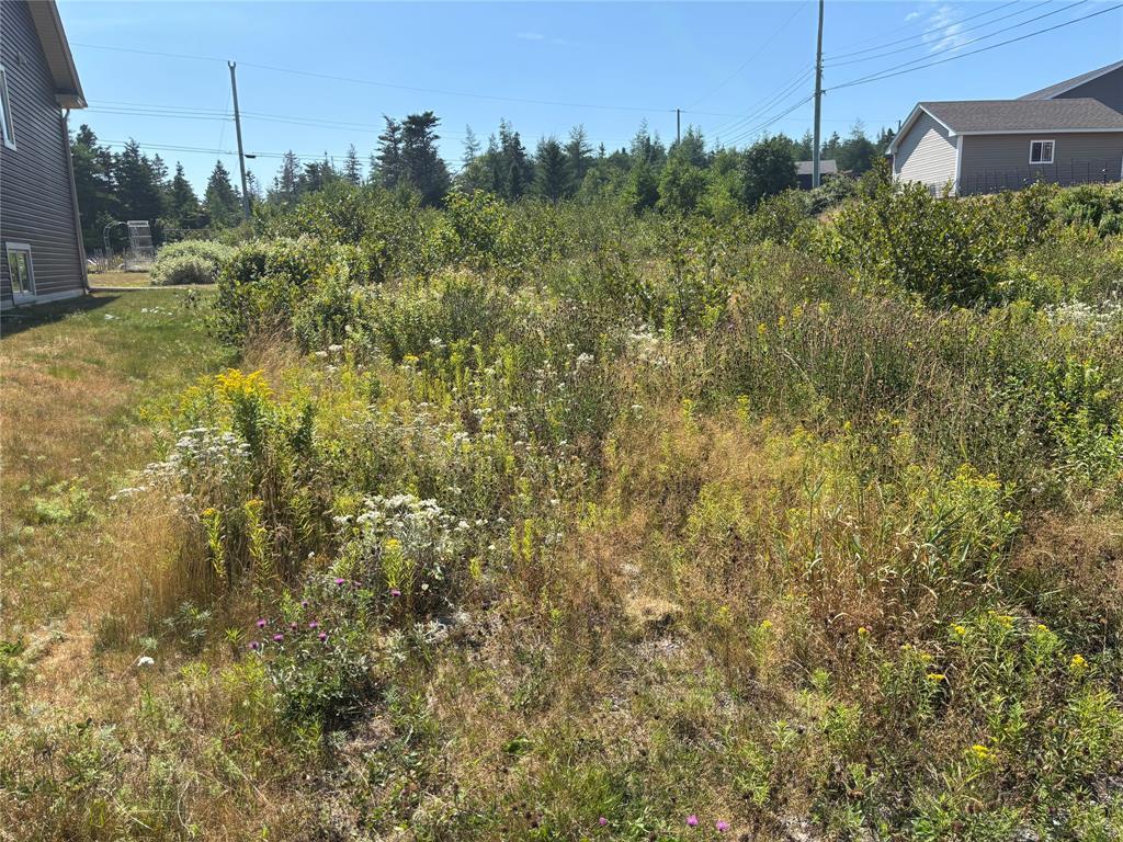 4 Captains Place, Bay Roberts, NL