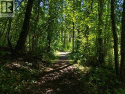 Unreal Trails Throughout The Property -