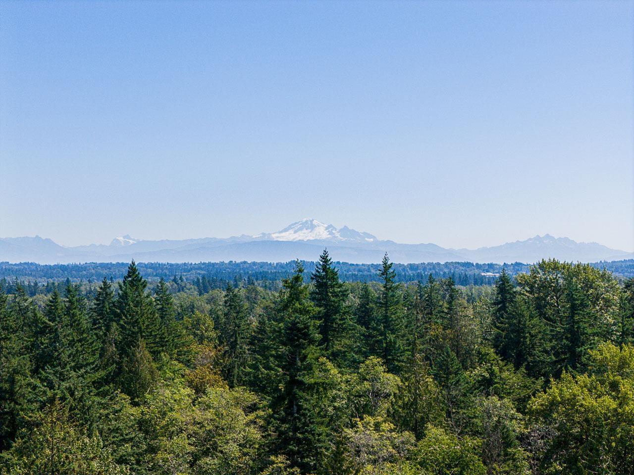 2608 176 Street, Surrey, BC