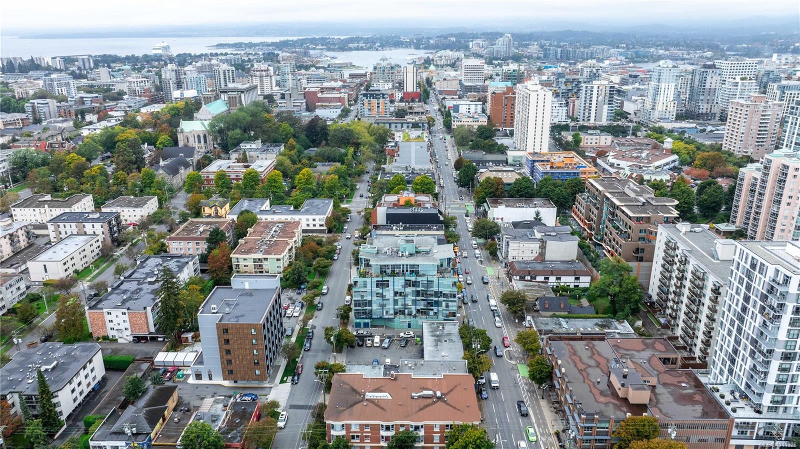 512-1061 Fort St, Victoria, BC - Outdoor With View