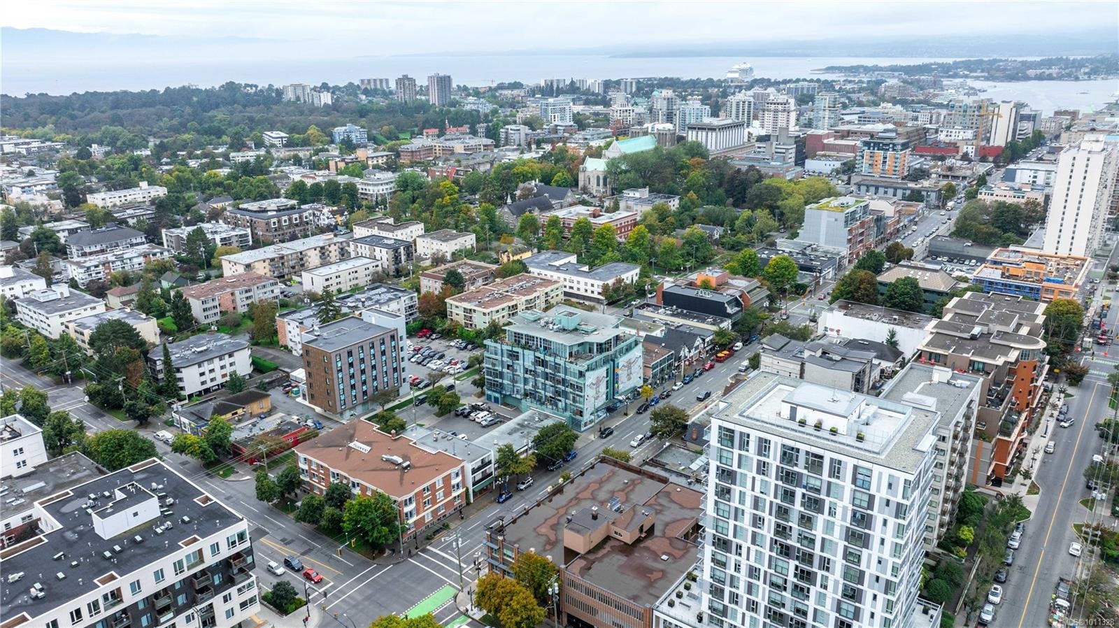 512-1061 Fort St, Victoria, BC - Outdoor With View