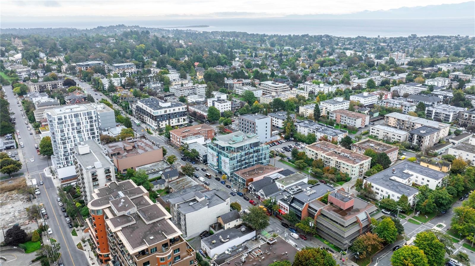 512-1061 Fort St, Victoria, BC - Outdoor With View