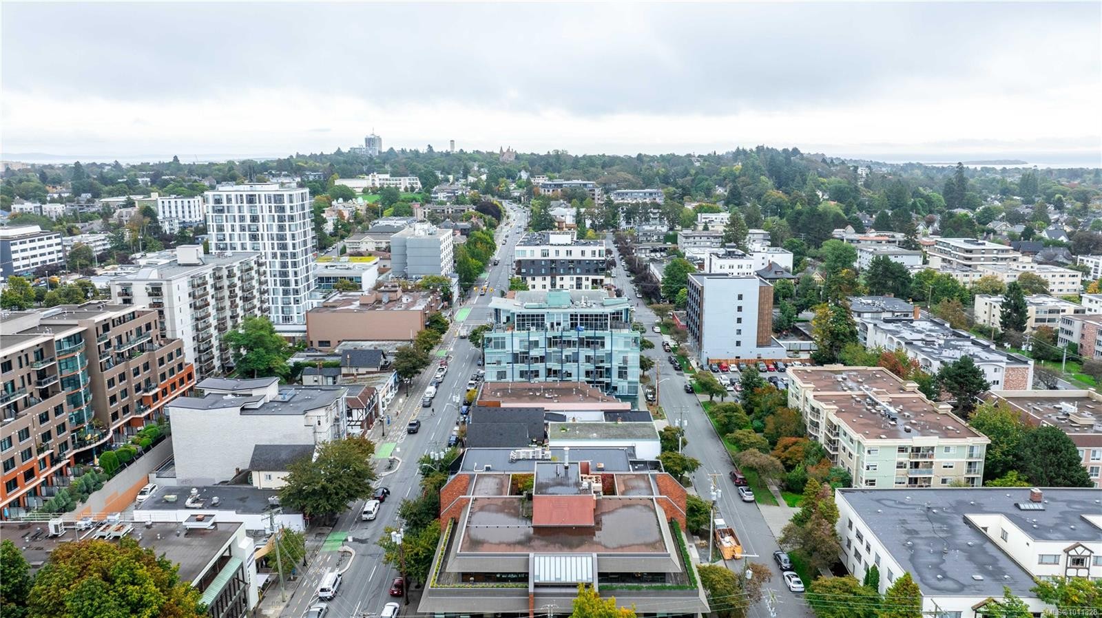 512-1061 Fort St, Victoria, BC - Outdoor With View