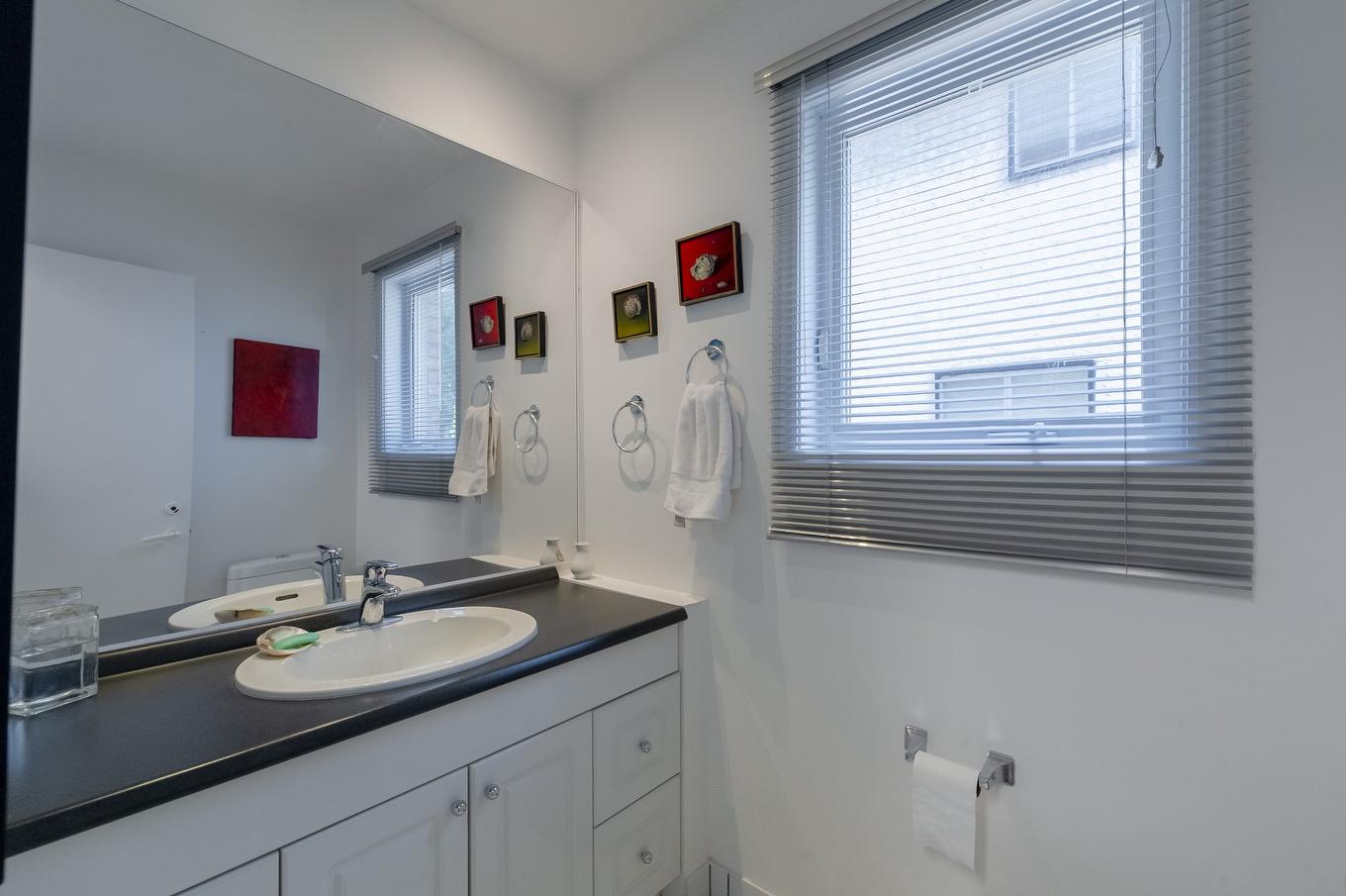 Powder room - 1620 Crois. Rousseau, Brossard, QC - Indoor Photo Showing Bathroom