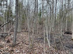 0 DIXON ROAD Augusta, ON K6V 5T2