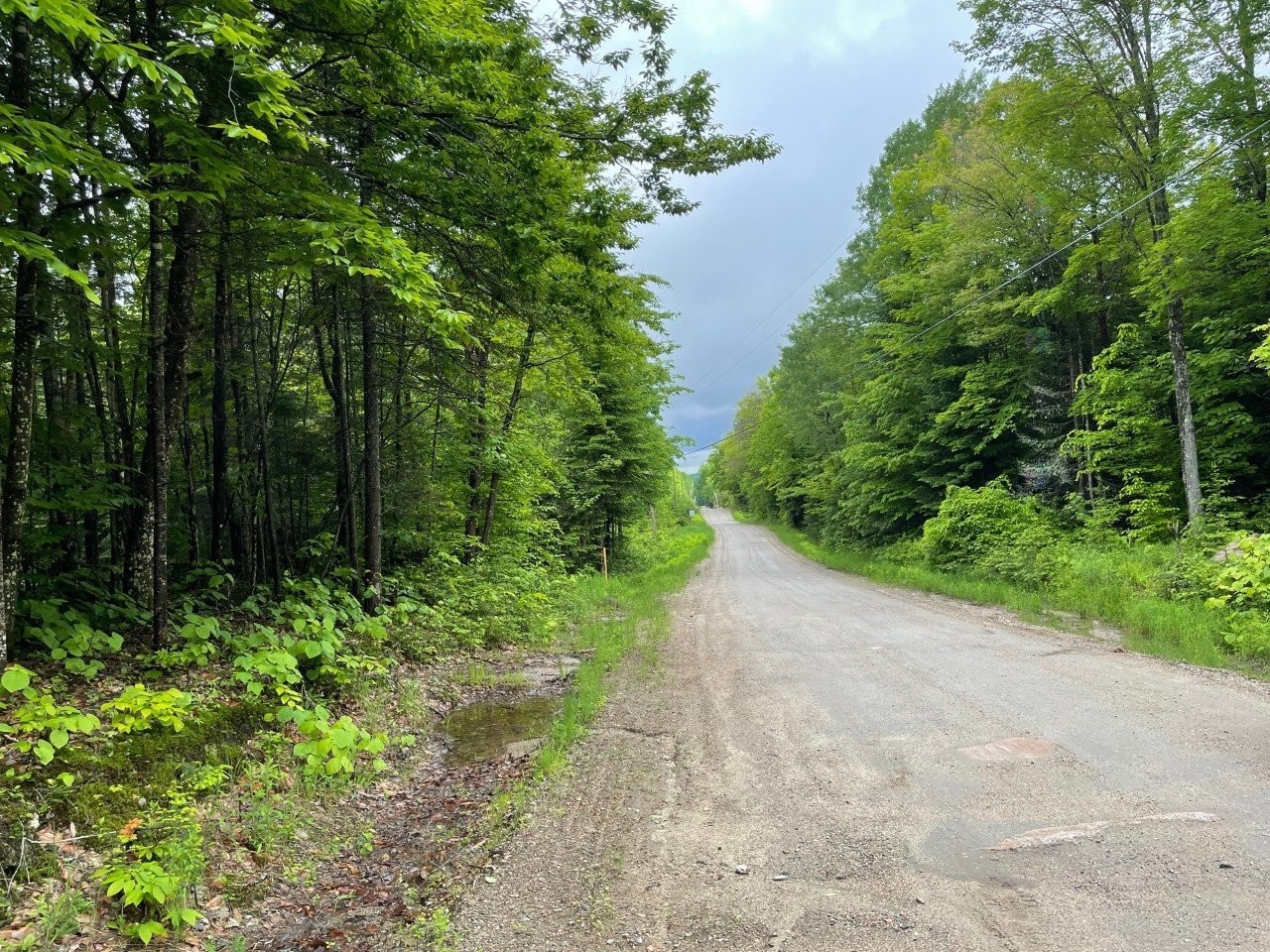 Rue - Ch. Des Malards, Nominingue, QC