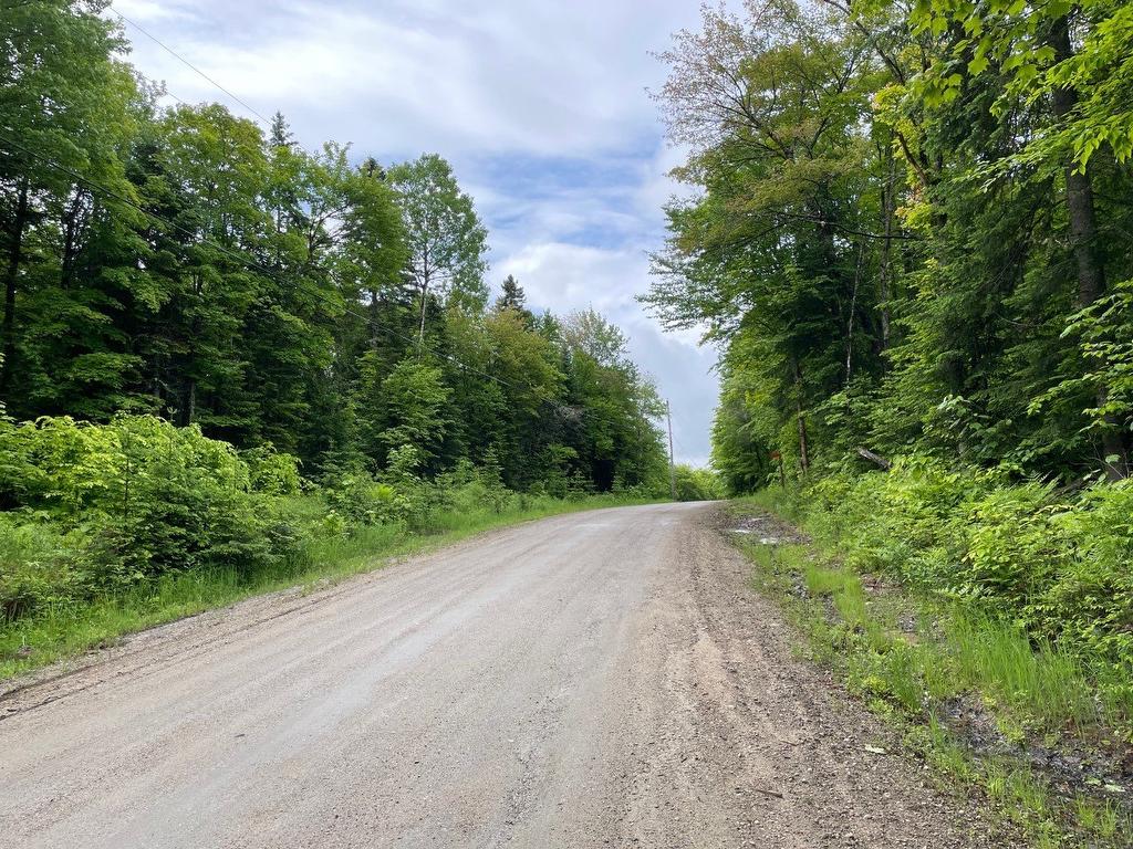 Rue - Ch. Des Malards, Nominingue, QC